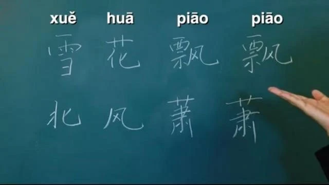 What does the phrase “xue hua piao piao bei feng xiao xiao” mean in  English? The phrase is from the Chinese song Yi Jian Mei - Fei Yu-ching  that's on TikTok. 