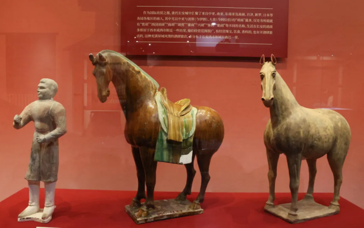 Chang'an Chronicles: Rediscovering Ancient Relics on the Silk Road