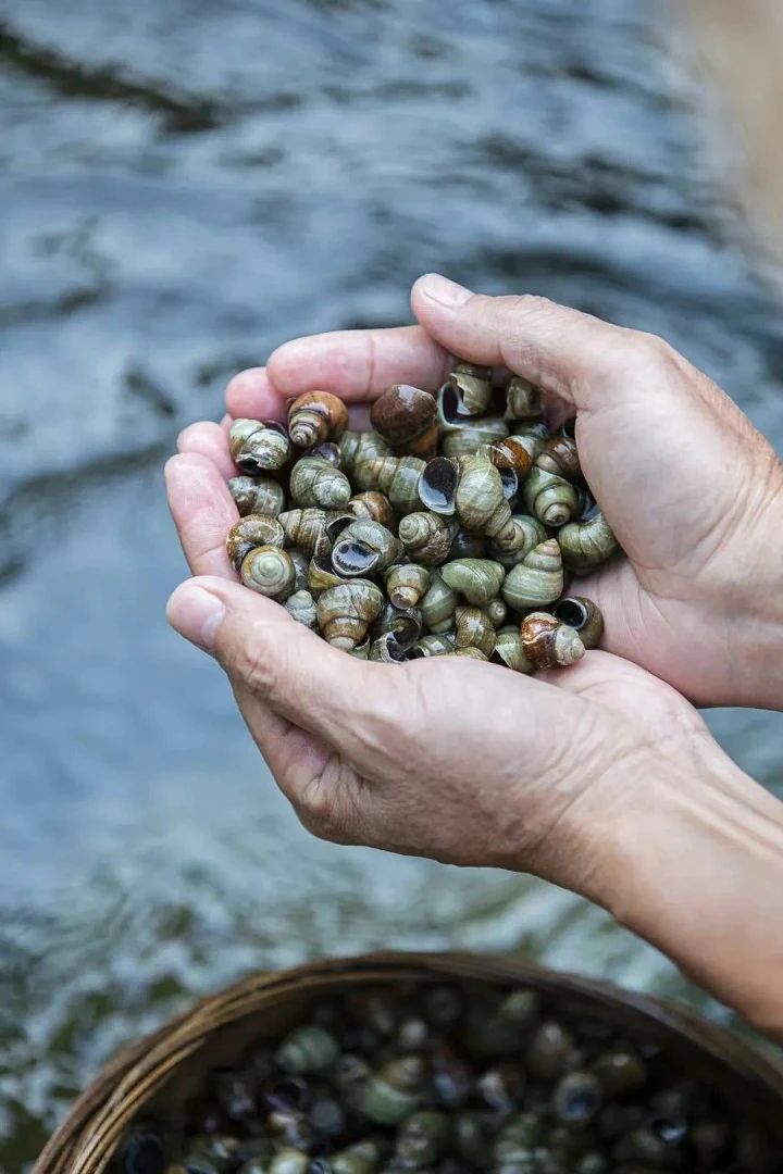 A Small Snail Unify China's Late-night Snack Empire