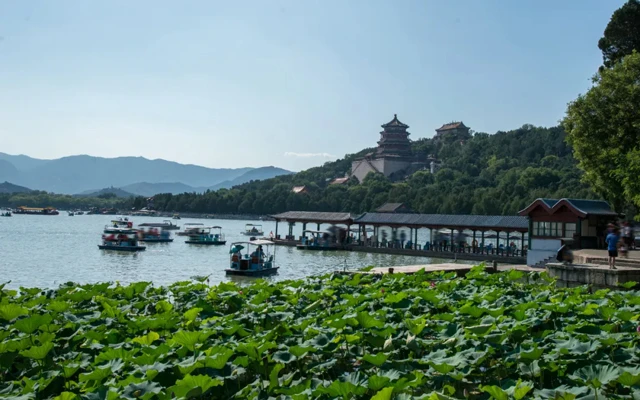 Beijing's Lotus Paradise: 11 Must-Visit Locations for Flower Enthusiasts