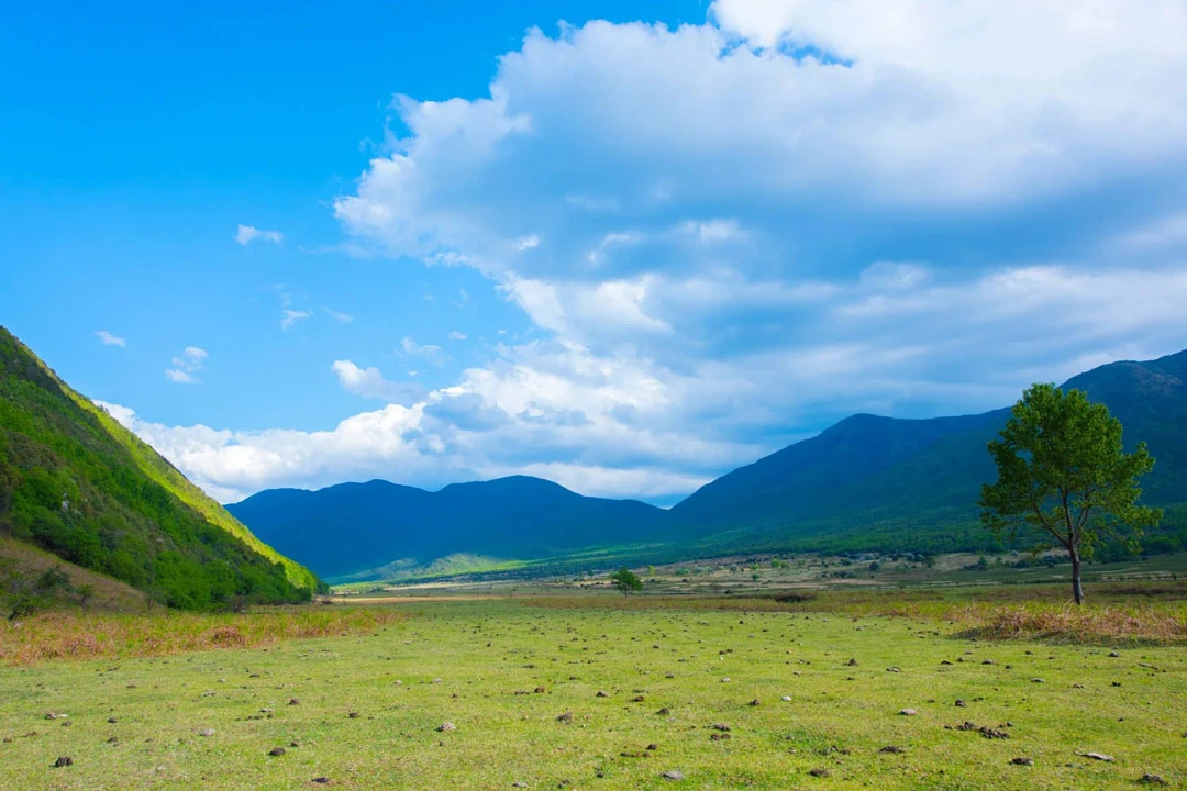 Exploring Xinjiang: A Land of Cultural Riches and Thriving Tourism