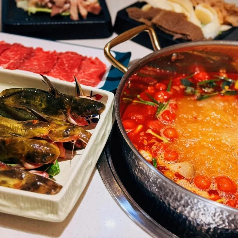 Exploring the Tangy Delights of Sour Soup Hotpot