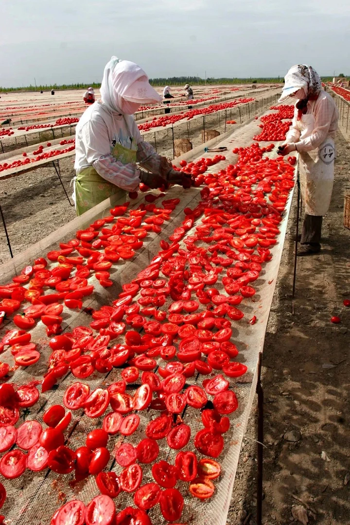 The Fiery Delight: the Spiciest Rice Noodles in Northwest China