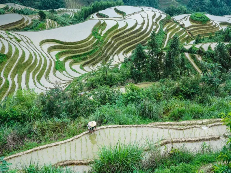 The Pinnacle of Natural Beauty: Guilin, China