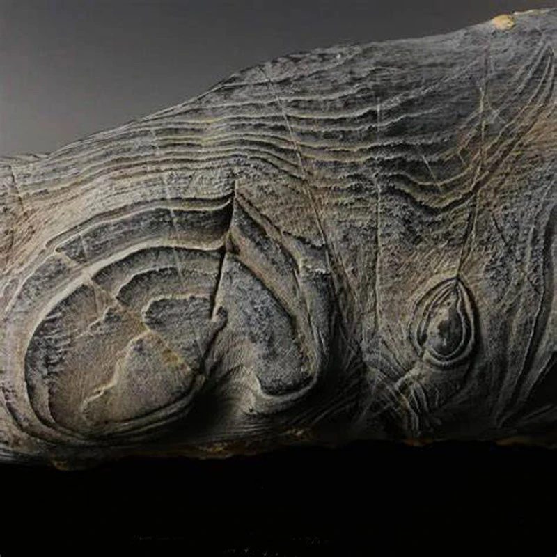 Tiger-striped Stone Chime: A Stone Carrying a Thousand Years of Cultural Memory