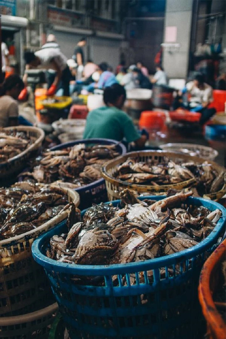 A Sea of Crabs, A Taste of Autumn in Zhejiang