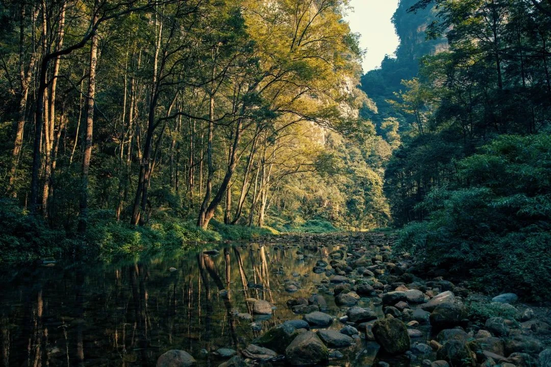 A Summer Road Trip Through Enshi and Zhangjiajie