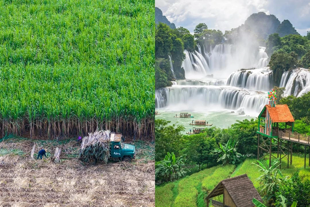 A Sweet Haven Amidst Guangxi's Landscapes