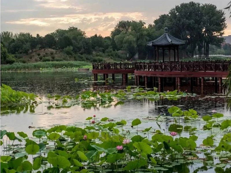 Aromas of the Imperial Garden: Capturing the Essence of Yuanmingyuan