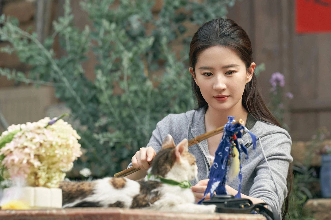 Embracing the Global Stage: The Rise of Chinese Dramas