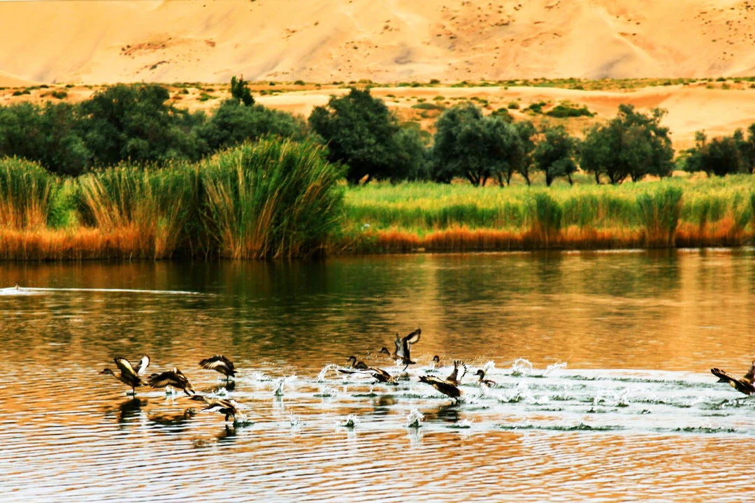 Why the Badain Jaran Desert is Now a World Heritage Site