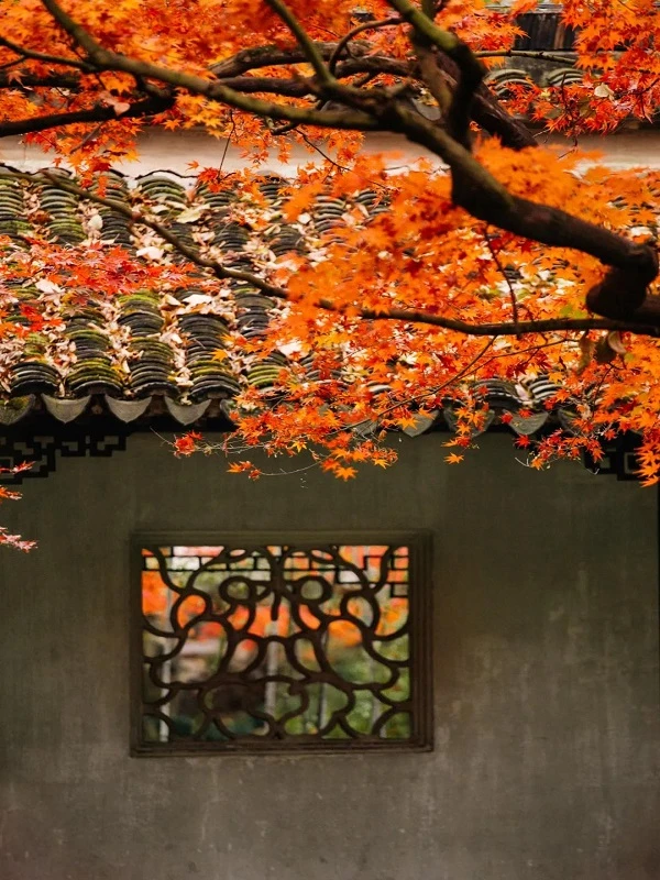 A Cultural Feast Under the Lion Mountain in Suzhou