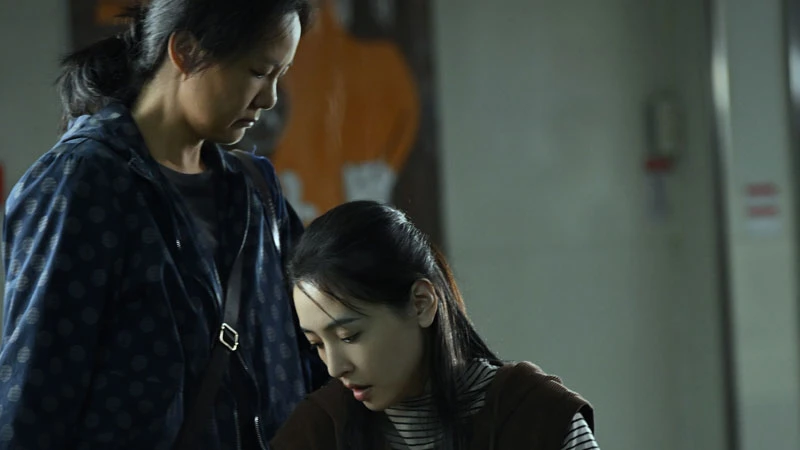 Celluloid Sisterhood: Female Voices in Chinese Cinema