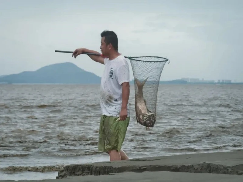 Chasing the Tides: Life and the Thrill of the Qiantang River