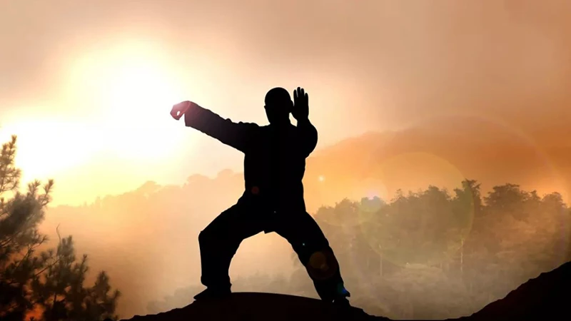 The Essence of Chinese Martial Arts