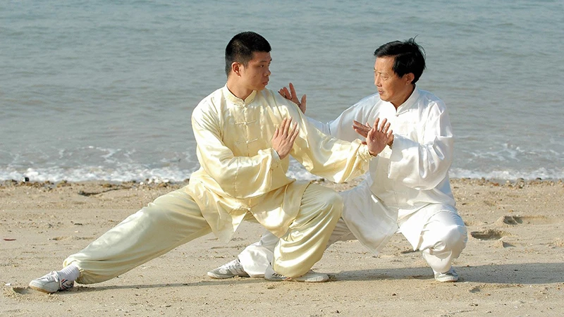 The Essence of Chinese Martial Arts