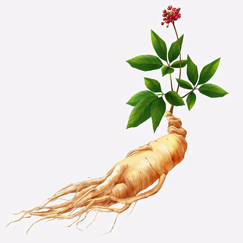 How Ginseng is Taking Over the Snack Aisle