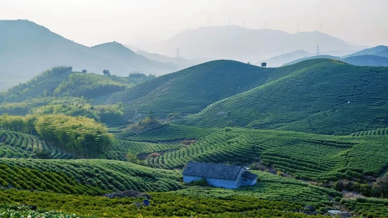 Huzhou: A Hidden City in the Heart of Jiangnan