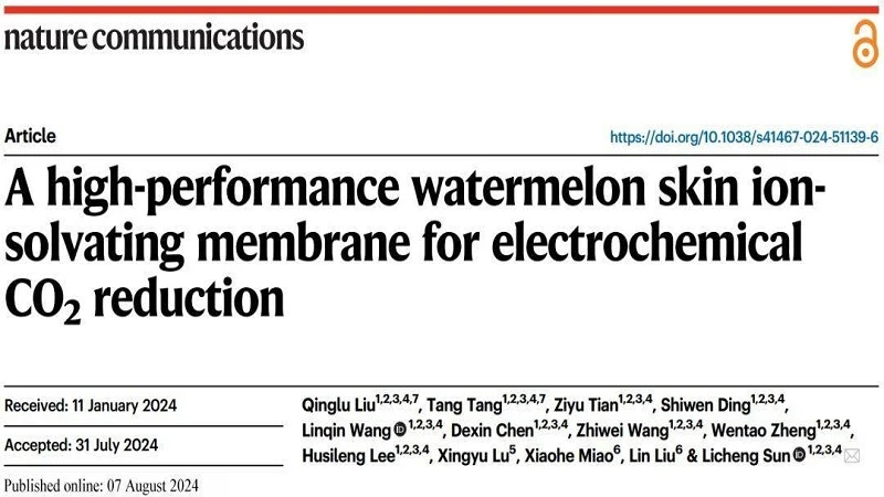 Innovative Membranes Inspired by Watermelon Rind in Ion Transport Technology