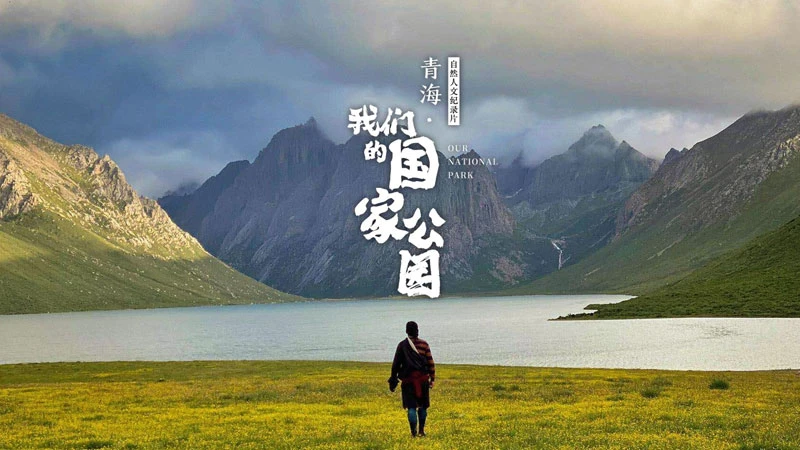 Nature's Symphony: The Evolving Harmony of China's National Parks