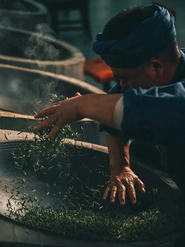 Rediscovering Matcha: From Ancient China to Modern Guizhou