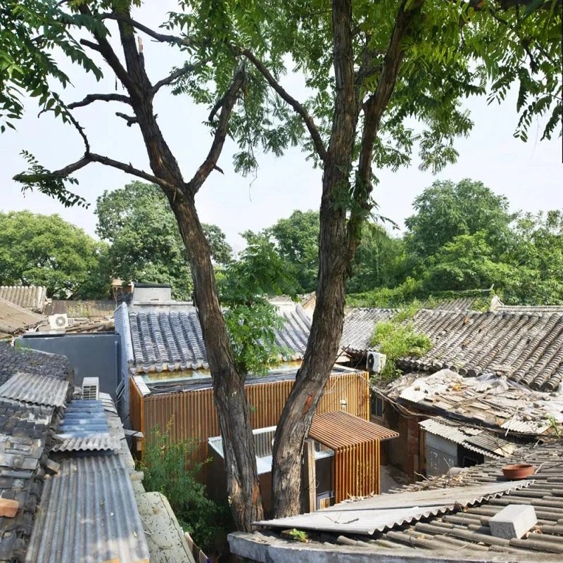 Reviving Tradition in Modern Beijing: A Journey of Urban Renewal