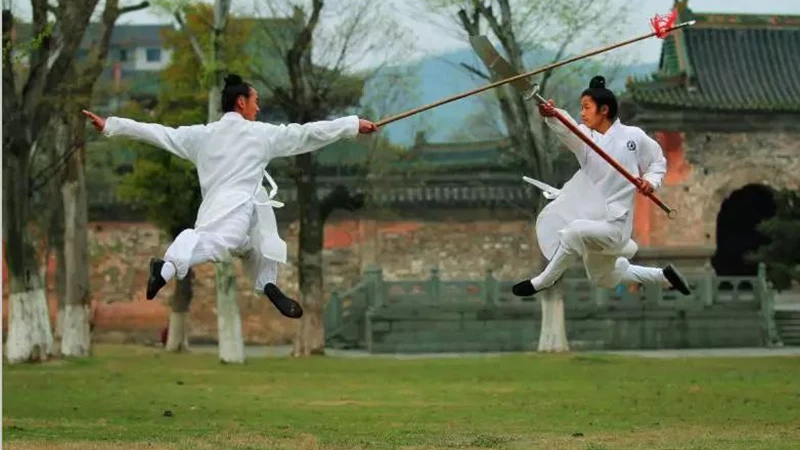 The Global Journey of Wudang Martial Arts