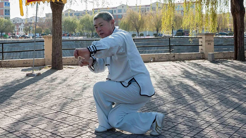 The True Essence of Eagle Claw Kung Fu