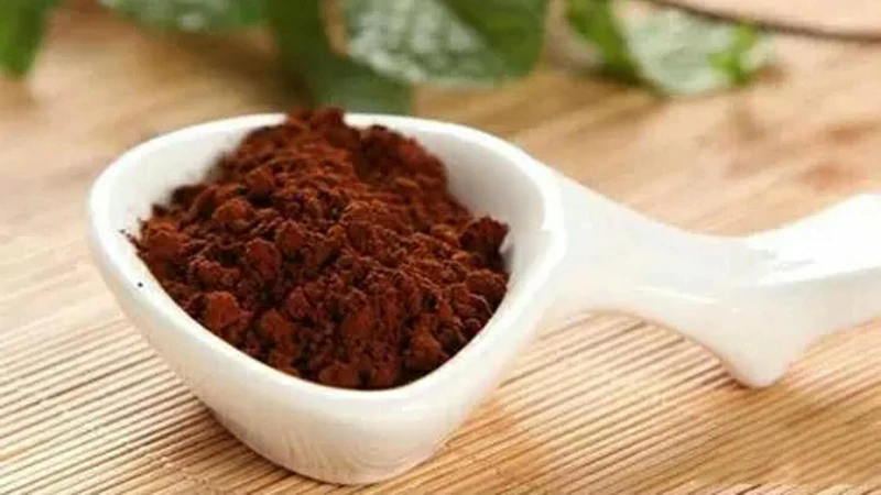 Unlocking the Secrets of Reishi Spore Powder