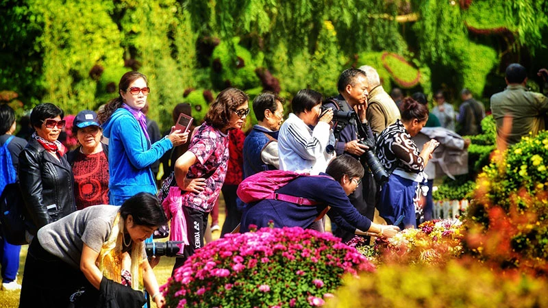 The 2024 Shanghai Chrysanthemum Exhibition