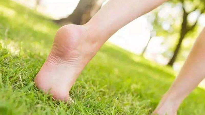 Step Up to Health: The Power of Toe-Raising