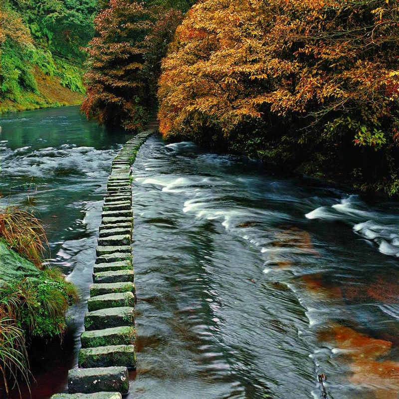 A Literary Pilgrimage Through Zhejiang's Tiantai Mountain