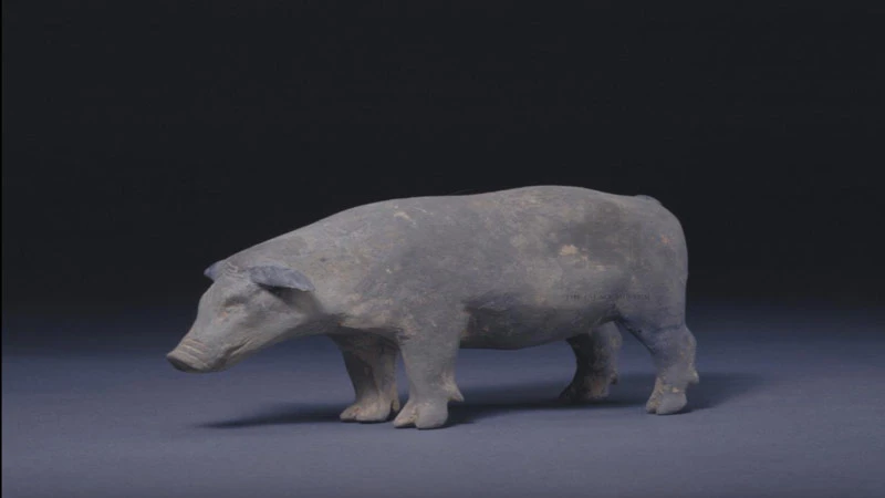 How Pigs Became the Skincare Stars of Ancient China