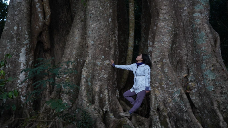 Redefining Paradise: A Journey of Xishuangbanna