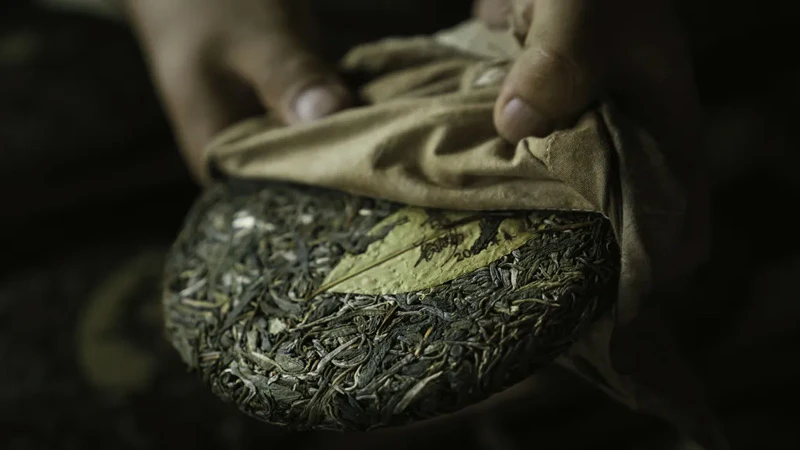 The Sacred Pu'er Tea Practice in Jingmai Yunnan