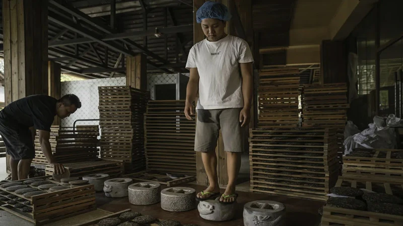 The Sacred Pu'er Tea Practice in Jingmai Yunnan