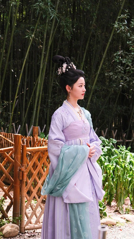 Was Purple Really Forbidden to Commoners in Ancient China?